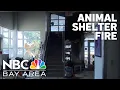 Police investigate Berkeley Animal Shelter fire as arson
