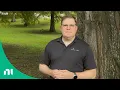 Reimagining Test Engineering with AI Insights from LabVIEW and Beyond
