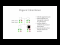 Non-Mendelian Inheritance Patterns by B Korf OPENPediatrics