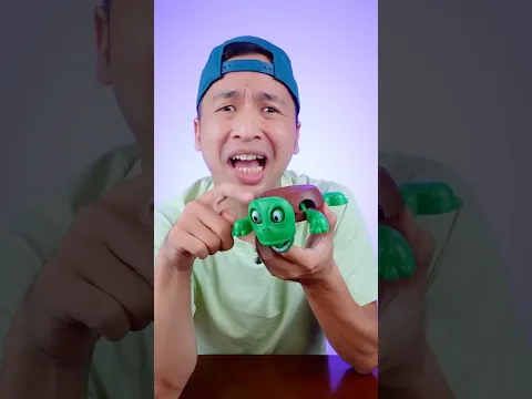 Kura-Kura Unik🐢 #bendaunik #unboxing