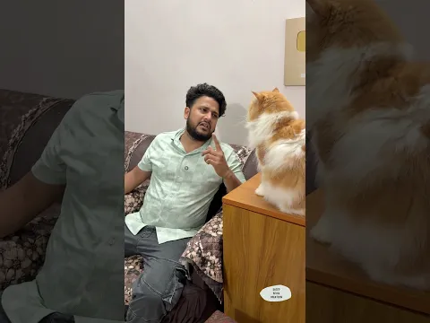supar se upar🤣😂🤣😂 #sajidcat #cat #catshorts #catcomedy #catvideo #pets #comedy #mycat