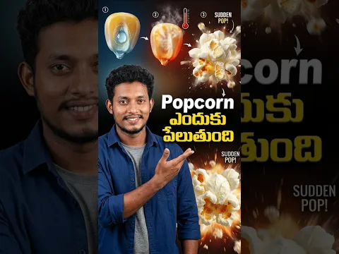 Popcorn ఎందుకు పేలుతుంది 🤯