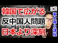 Lagu 「中国人は出て行け」韓国で“反中国”感情が爆発…なぜ日本より深刻なのか【5つの理由】