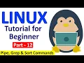 Linux Tutorial for Beginners Part - 12 Pipe grep sort commands