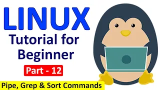 Linux Tutorial for Beginners Part - 12 Pipe grep sort commands