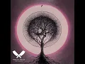 Download Lagu King Cosmic -  Euclidean Sunrise  - Euclidean Sun EP -(1 of 3)