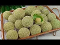 Download Lagu ANTI MELETUS,ANTI RETAK,KOKOH DAN KOPONG, KUE TRADISIONAL DARI OLAHAN TEPUNG KETAN, ONDE-ONDE PANDAN