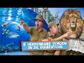 Download Lagu 8 HERKENBARE DINGEN IN DE DIERENTUIN! - Addo \u0026 Nick Comedy Sketches