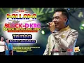 Download Lagu Teman Karaoke New Pallapa