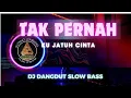 Download Lagu DJ SLOW BASS TAK PERNAH