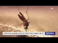 Positive human case of West Nile virus in Corpus Christi
