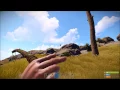 Rust s Great Ragdoll