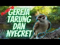 Download Lagu Gereja Tarung Ngeroll Speed Rapat - Gemericik Air