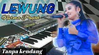 lewung versi pegon jaranan cover tanpa kendang