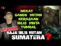 Lagu NEKATZZZ!!! G4NGGU HUTAN,,, KERAJ4AN !BLIS P!NTA TUMBAL