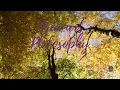 The Minds Eye feat. Bubanshi -- Dreamers Philosophy -- #Chillout