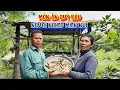 Download Lagu CÁ KHÔ quý như vàng của người nghèo, ăn no bụng để TỒN TẠI - tập 1425
