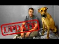 Download Lagu Big update on Scooby-Doo the Great Dane, i'm nervous for him 🥹 (LIVE 🔴)
