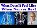 What Does It Feel Like When Nerves Are Healing in Your Body - Dr Alan Mandell DC