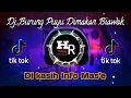 DJ BURUNG PUYUH BURUNG KETUT DIMAKAN BIAWAK // DI KASIH INFO MAS E // TIK TOK