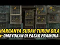 Download Lagu PARAH ‼️ HARGA BURUNG OMBYOKAN 2025 GAK MASUK AKAL‼️ SIDAK PASAR PRAMUKA HARI INI‼️