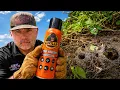 5 000 Yellow Jackets vs Gorilla Glue