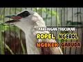 Download Lagu PANCINGAN +MASTERAN TRUCUKAN ROPEL NGEROL NGEKEK GARUDA