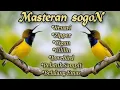 Download Lagu SUPER KOMPLIT📍MASTERAN SOGON FULL ISIAN BIKIN LAWAN K'O#sogon #sogokontong