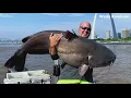 Fish of a lifetime St Charles angler catches 112-pound catfish on Mississippi River