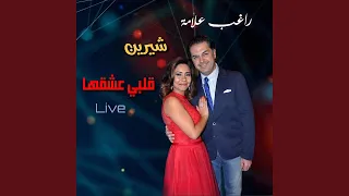                                     دندنها