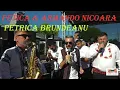 Download Lagu Petrica \u0026 Armando  Nicoara - Petrica Brundeanu - 2022 - Mare Show  - Nunta 10 stele Denisa si Ghini