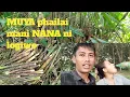 Muya phaimani blongo NANA ni logiwo Collecting Bamboo shoots In Jungle||Biplabdebbarma official vlog