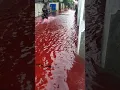 pernah viral venomena banjir merah seperti darah #viral #shorts #fyp #pekalongankotabatik