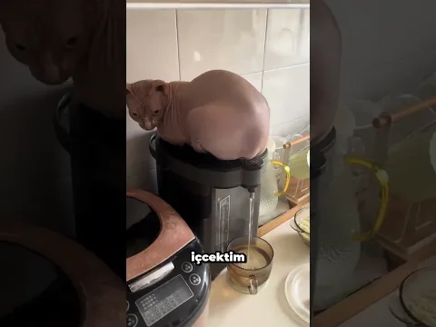 Bunu yapmasam uyuyamazdim