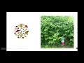 Evolution IB Biology Summer Review