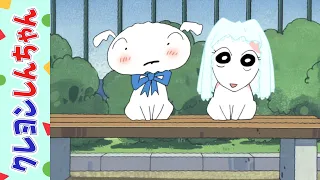 【クレヨンしんちゃん】シロの結婚式だゾ★HDデジタルリマスター版《アニメ公式》