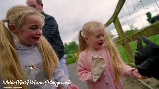 MOLLY MOOS PET FARM MULLINGAR WESTMEATH