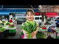 Chinese Vegetable Market August 22 2026 08 30 AM 2026 8 22 08 30