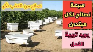 سبعة نصائح لكل من يريد تربية النحل احتراف عالم النحل للمبتدئين 