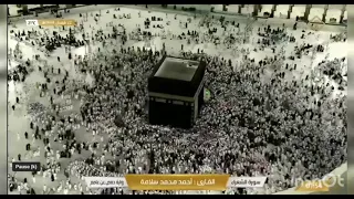 سورة الشعراء و سورة النمل بصوت القارئ أحمد محمد سلامة 
