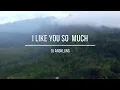 Lagu DJ I LIKE YOU SO MUCH by IMp (remix slow angklung)