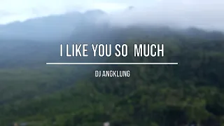 Download DJ I LIKE YOU SO MUCH by IMp (remix slow angklung) MP3