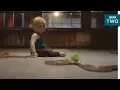 Why aren t babies afraid of snakes - The Human Body Secrets of Your Life Revealed
