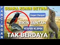 Download Lagu SUARA KONIN BETINA - PANCINGAN KONIN JANTAN AGAR CEPAT GACOR - KONIN BETINA GACOR