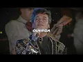 Juan Gabriel - Querida (Letra) en VIVO desde el Palacio de Bellas Artes