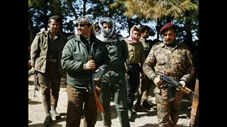 اغنيه الشهيد القائد ياسر عرفات ابو عمار 11 11 