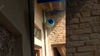 Surah Al Fatiha Ki Tilawat Surah Surahalfatihah Quran Qurantilawat Petshub 