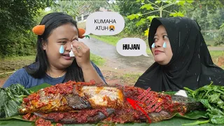 Download HUJAN⛈️ MUKBANG IKAN GABUS SUPER JUMBO SAMBAL GORENG PEDAS || MUKBANG INDONESIA MP3