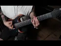 Polaris - Dissipate (Guitar Cover)