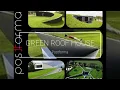 Green roof house